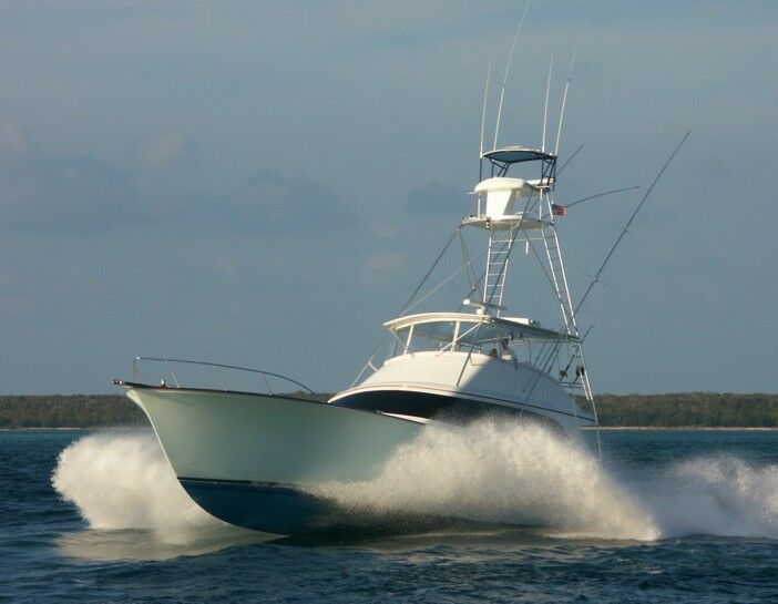 Click to See Next Image